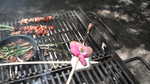 Memorial Day Picnic 2013 028