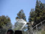 I asked you not to spray us!!