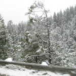Donner Pass ski trip 011