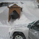 We dug our way outside in the morning.