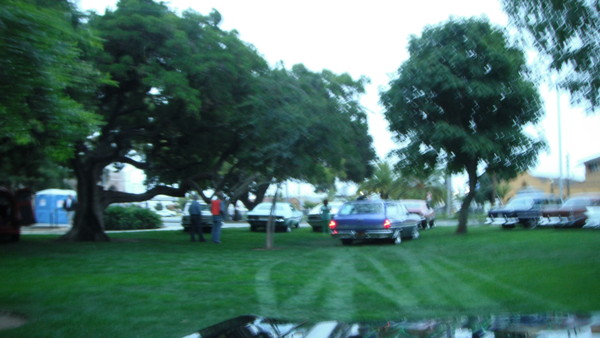 Cars in the Park 2013 023