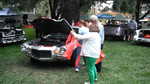 Cars in the Park 2013 033