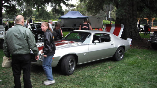 Cars in the Park 2013 034