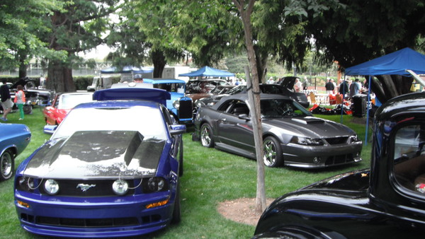 Cars in the Park 2013 037