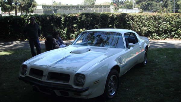 Cars in the Park 2013 091