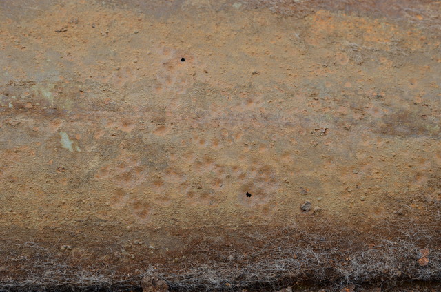 DSC 9844
