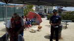 ELCHS reunion picnic 2013 026