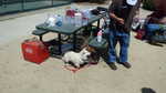 ELCHS reunion picnic 2013 050