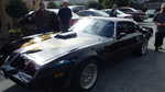 LC show and Molloys show 2013 095