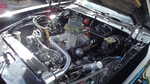 LC show and Molloys show 2013 096