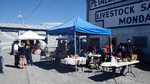 Cheese Factory 2013 091