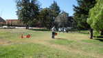 Fred sets up the show field.