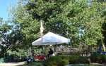 Going to be hot today so up go the tents!