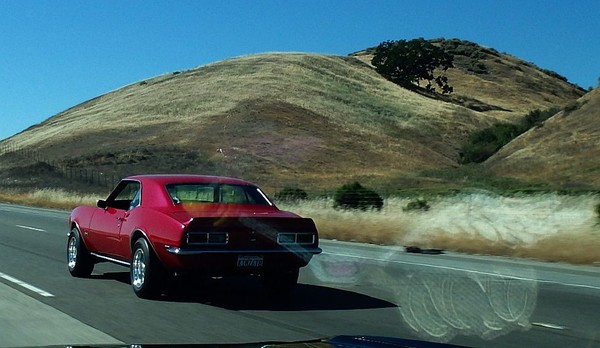 Can she outrun the roadrunner??