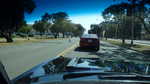 Gotta stop for the duck crossing!