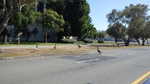 Photo shoot roadrunner 2014 152