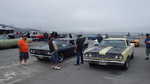 My road runner getting a little love from the attendees.