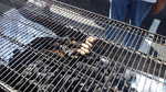 Roasted peanuts for all!
