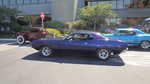 Car Crazy Promotions 2014 223
