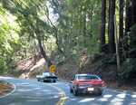 Join us for the Cruise to Santa Cruz and El Camino Real cruise 8-23-2014