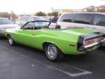 Cruise 2014 2