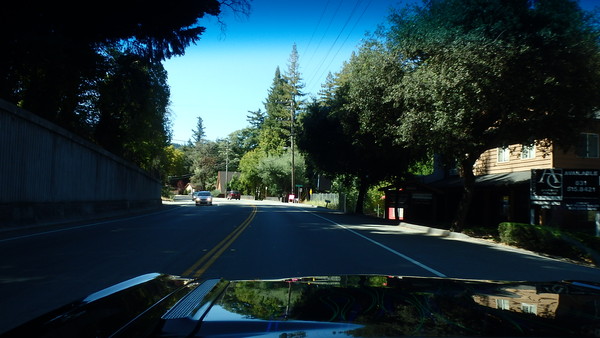 Now back on track to Alice's Restaurant via the redwoods!