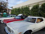 MIllbrae Art & Wine 2014 012
