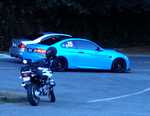 We were all sure they were going to race down the hill!
