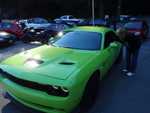 Hey buddy, wanna race??