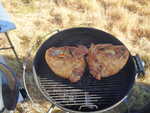 Got the Webber going with two big turkey breasts on it!