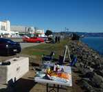 3rd annual Treasure Island meet up 2015 015