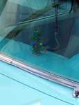 Laf-A-Lots 2015 016