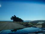ROAD TRIP TO DRAKES BEACH 2016 023