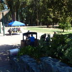 Highlight for Album: Join us for the 2018 Kick off to Summer picnic at Bersford Park in San Mateo, Ca. supporting the YWCA