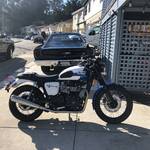 Highlight for Album: New exhaust on the 2015 Triumph T-100