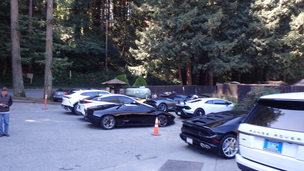 A gaggle of various imported Supercars.......