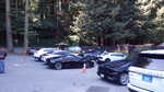 A gaggle of various imported Supercars.......