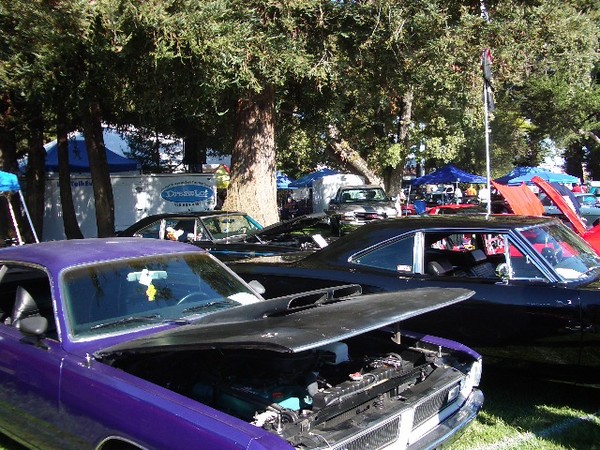 Caitlin's 1971 Demon