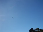 The Blue Angles gave a great air show.