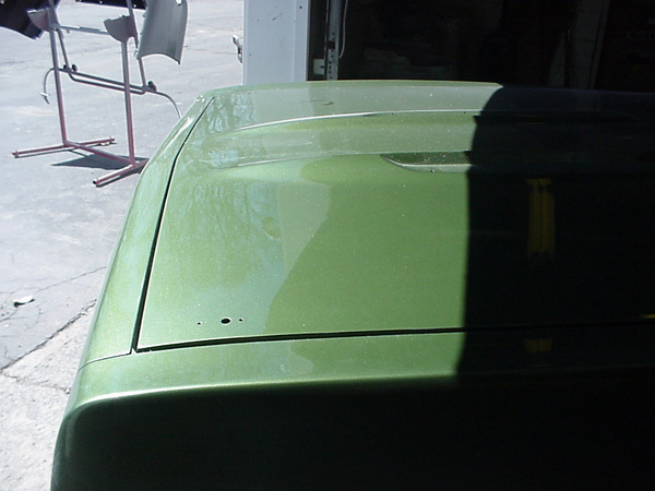 Painted Front! 
Seeking some sunlight.