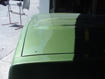 Painted Front! 
Seeking some sunlight.
