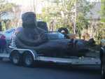 Now here's something you don't see everyday!