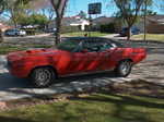 Here is Mike's 70 Cuda 440-6 "Survivor" unrestored all original following:  paint, interior, #'s matching,
two tags, special ordered, calif car, low mileage.
Interesting original goodies include: overhead consolette, both rubber bumpers, build sheet with a Calif built car.