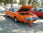 "Superbird" Joann wins again...