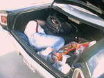 A roadrunner's trunk is a great place to sleep