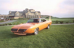 Superbird at hotel