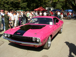 Pa050008