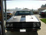 Sunny roadrunner