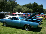 Show field 4
