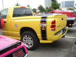 Check out the custom striped bed cover